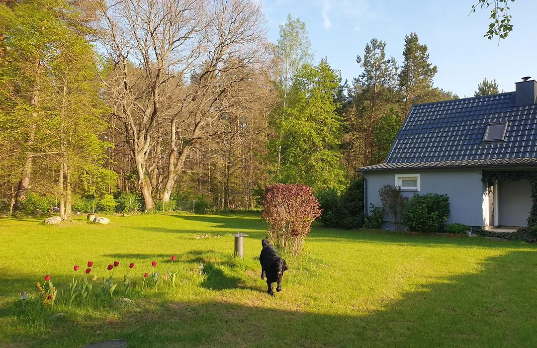 Siedlisko na Ustroniu-1