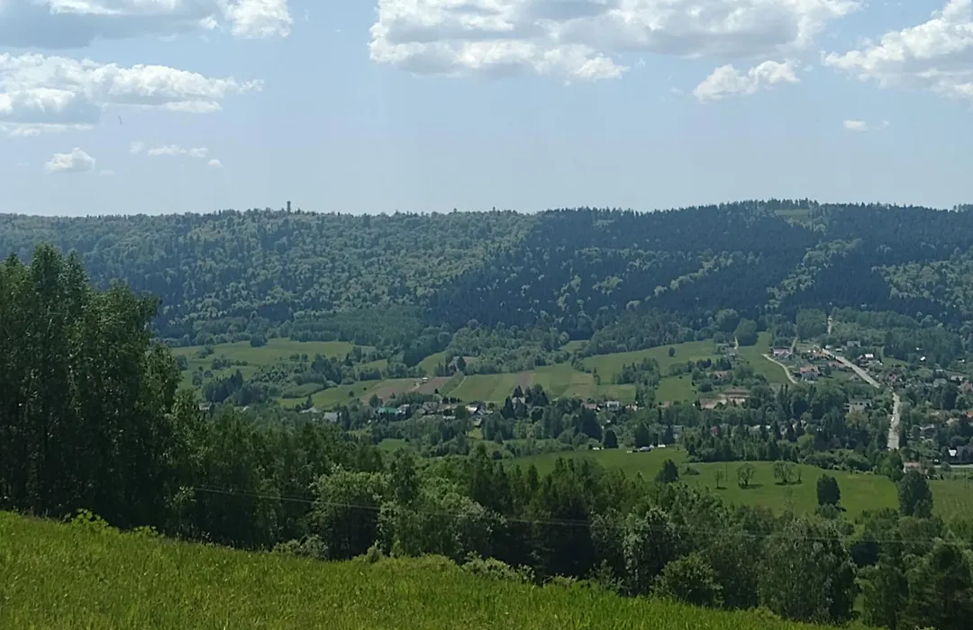 Domki Brzozówka w Bieszczadach-1