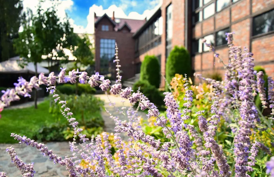 Stara Szkoła Boutique Hotel-1