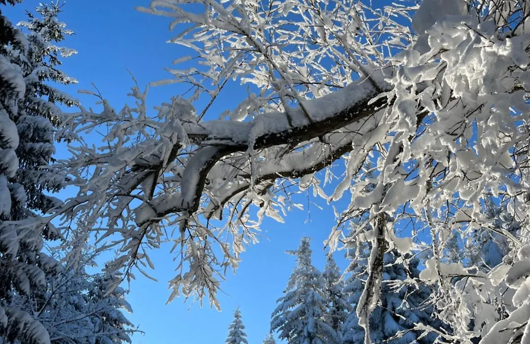 Woodyou - Izerski Resort-1