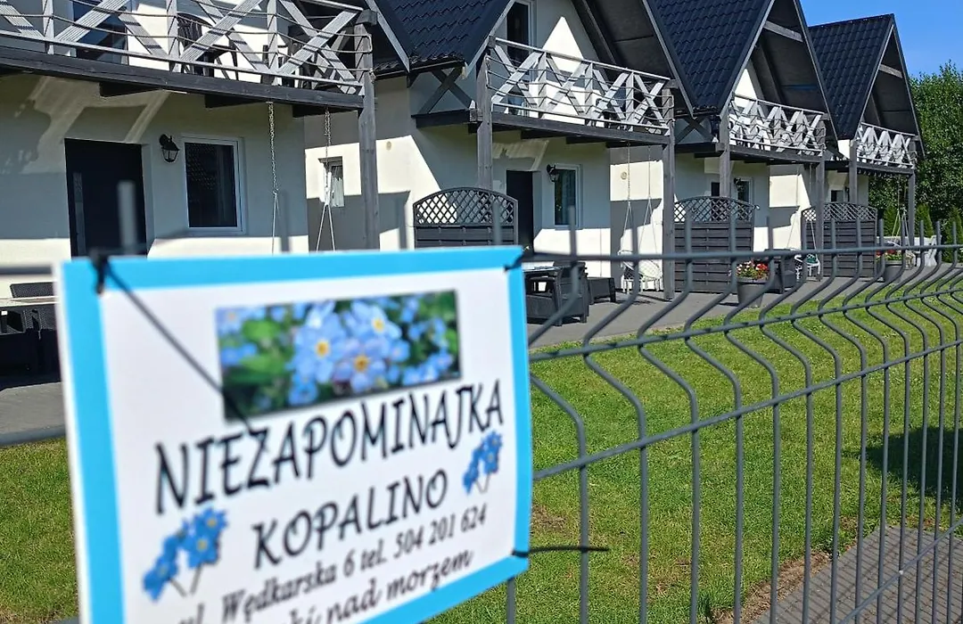 Niezapominajka Kopalino-1