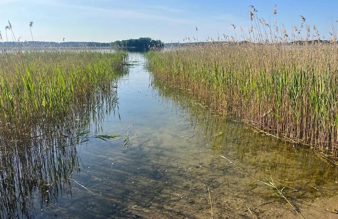 Domek letniskowy Opowieści z Narie Kretowiny-1