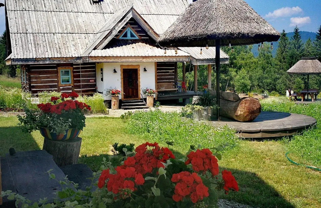 Kaajówkowa Zagroda-1