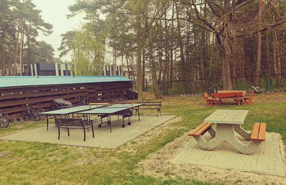 De Luxe Blue Mare-1