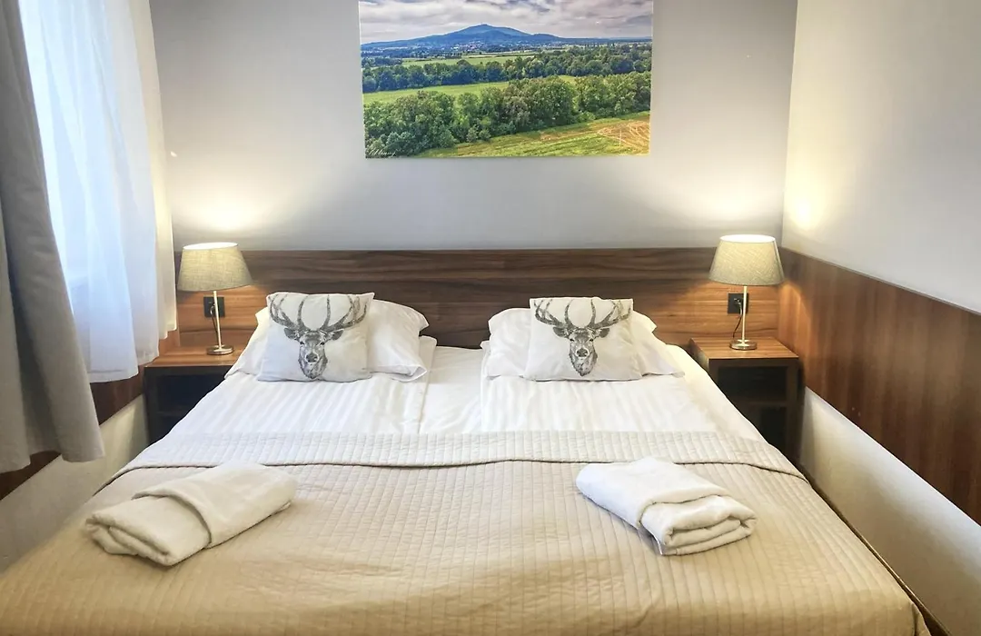 Hotel Pod Jeleniem-1
