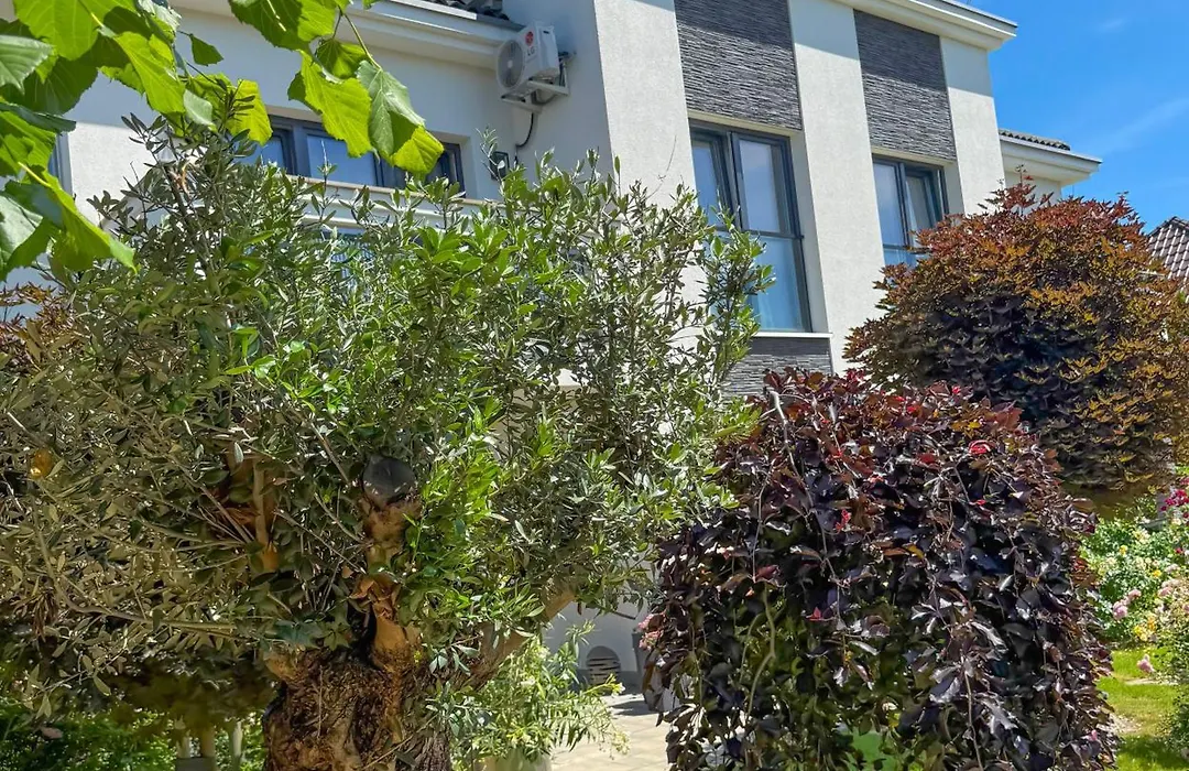 Villa Corleone-1