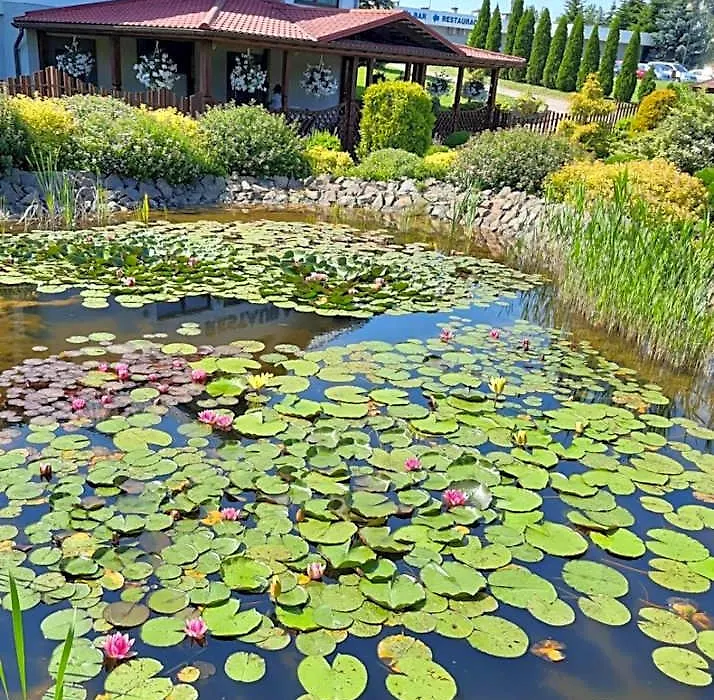 Hotel Savana-1