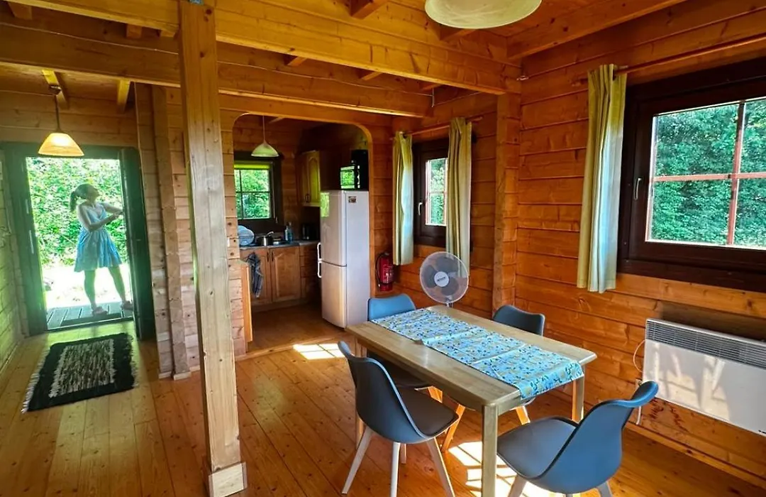 Domek nad jeziorem Rożnowskim - Gródek Nad Dunajcem-1