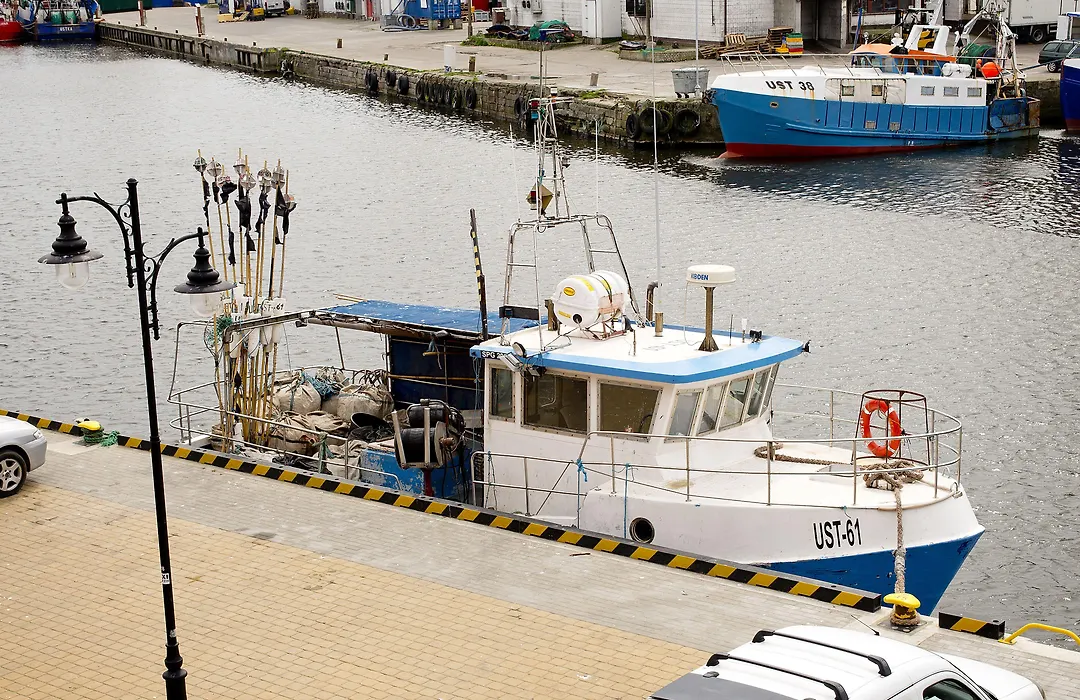 Portobello-1