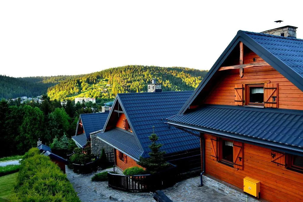Alpejskie Domy Ski House-1