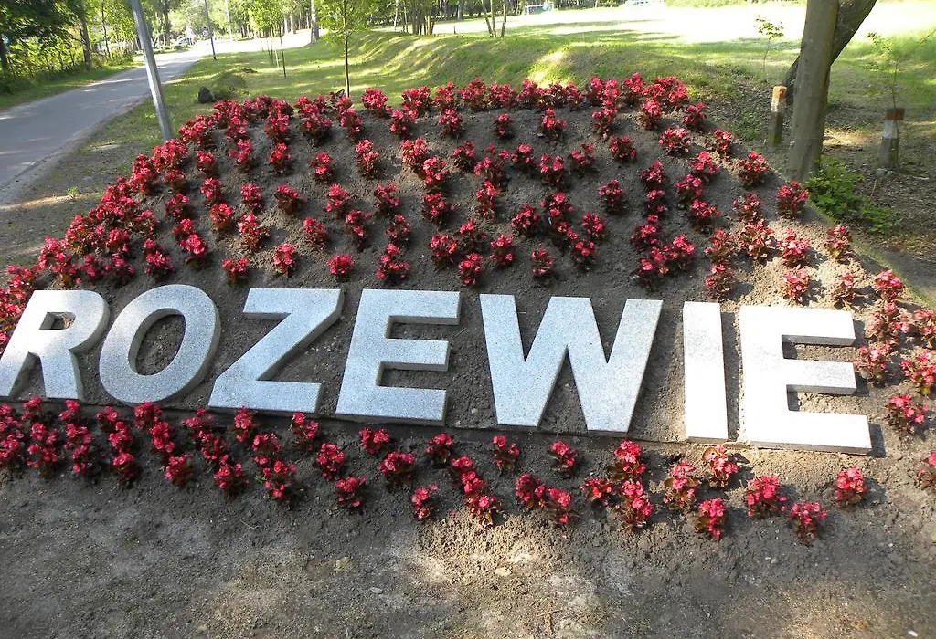Okulski Grand Rozewie-1