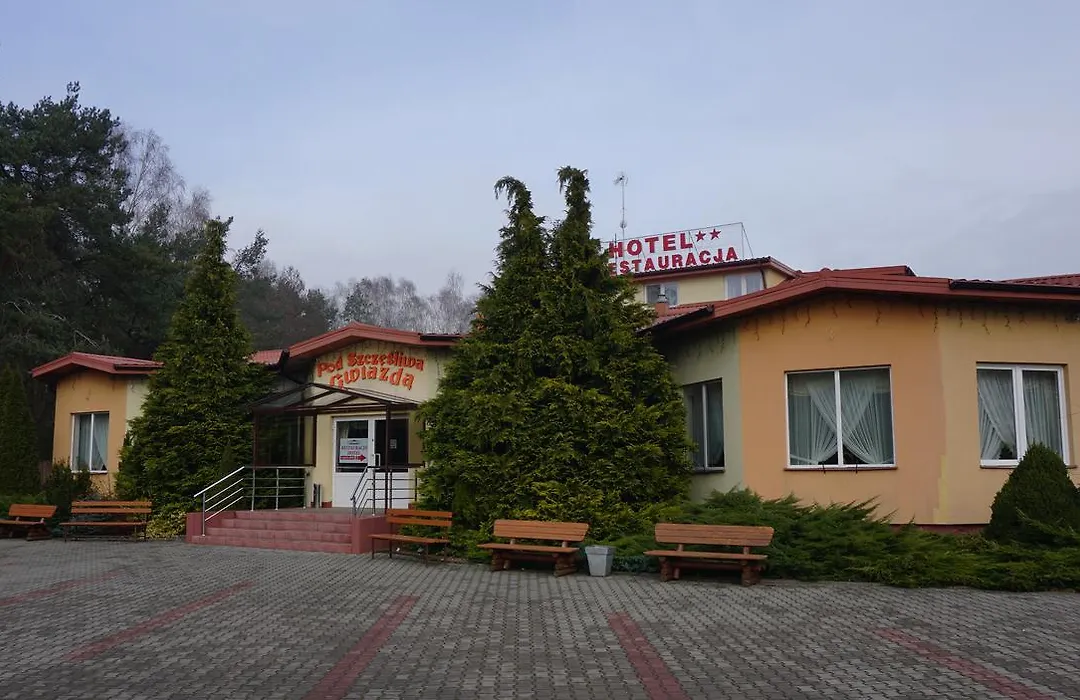 Pod Szczęśliwą Gwiazdą-1