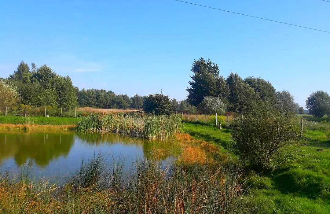 Agroturystyka-1
