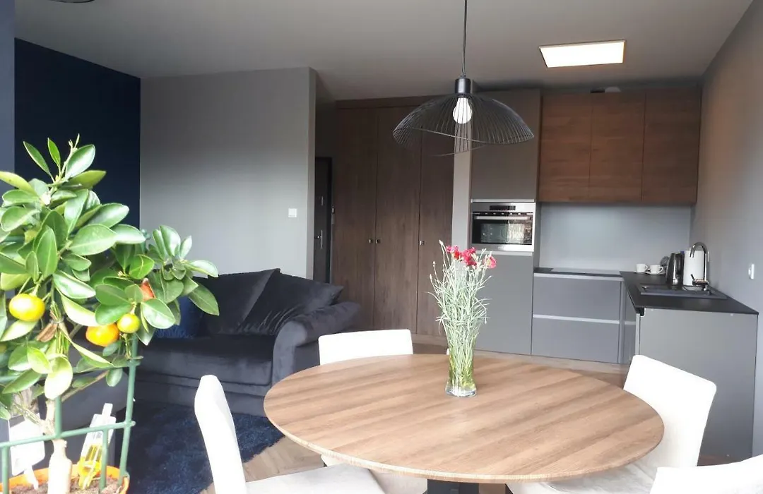 Apartament Stara Gazownia-1