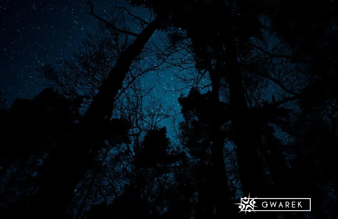 Ośrodek Wypoczynkowy Gwarek Mazury-1