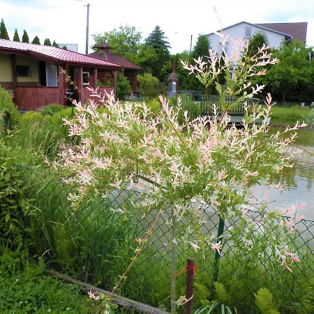 Domki Żabi Staw-3