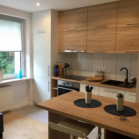 Apartament Kopenhaga-2
