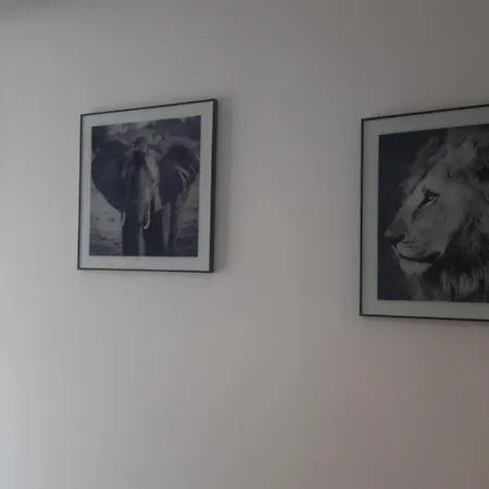 Apartament Skarbowa 2-3