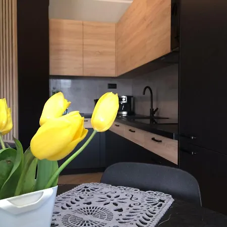 Apartament Malta Poznan-3