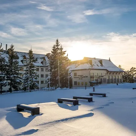 Hotel Arlamow-3