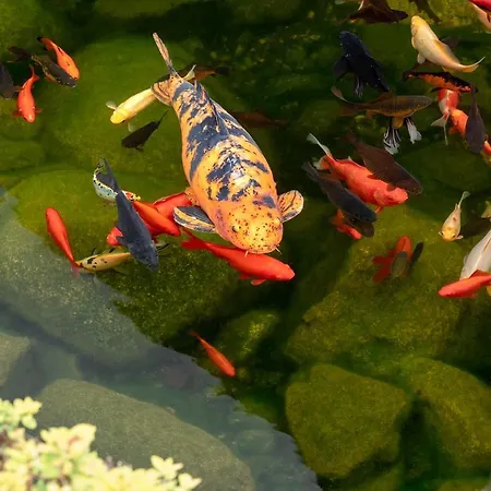 Zajazd Chyżne-2