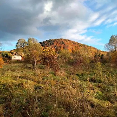 Dom na Górce-2