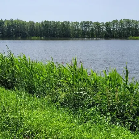 Domek nad stawami dla wędkarzy - Gospodarstwo Rybackie Jaworznik-2