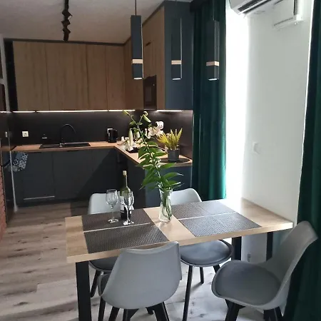 Apartament Bernata-Śródka-3