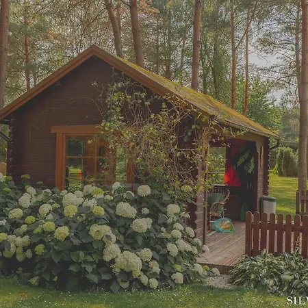 SILVA Guest House - dom wczasowy, tenis, basen, balia i sauna-3