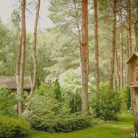 SILVA Guest House - dom wczasowy, tenis, basen, balia i sauna-2