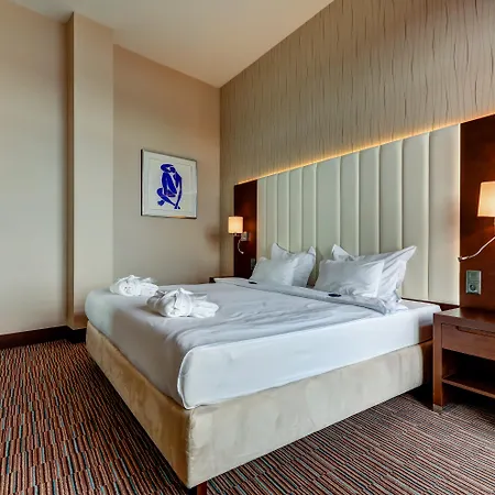 Copernicus Toruń Hotel-3