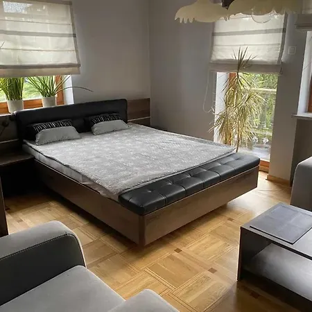 Hostel Luna-2
