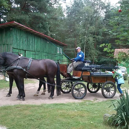Olchowy Mlyn-2