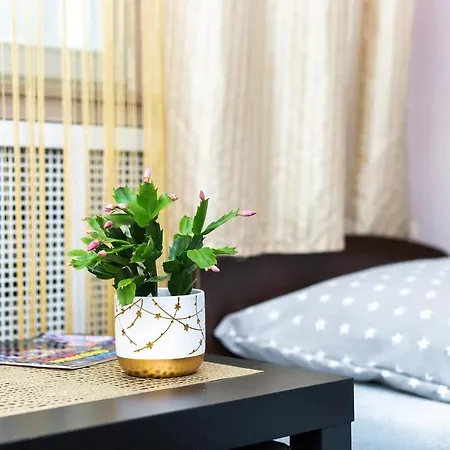 Apartaments Piotrkowska 101-2