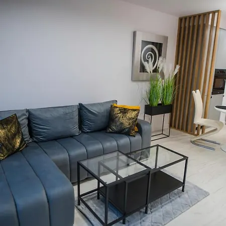 Nowoczesny apartament Ludova-2