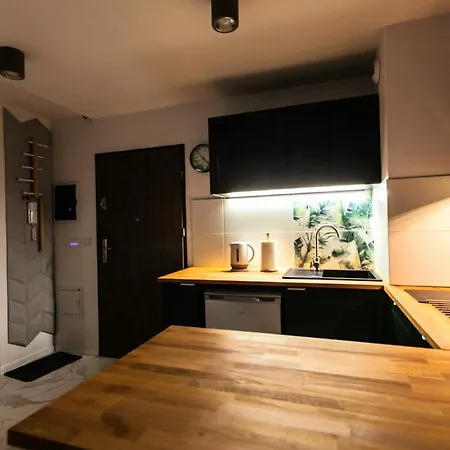 Zielony Apartament Gliwice-3
