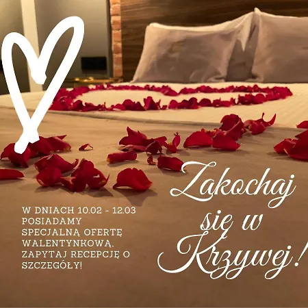 Aparthotel Krzywa Kamienica-2