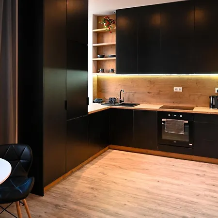 Apartament Loft Style Centrum Kościuszki 34-3