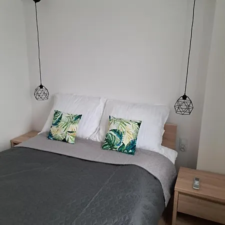 Apartamenty Zielony Liść-3