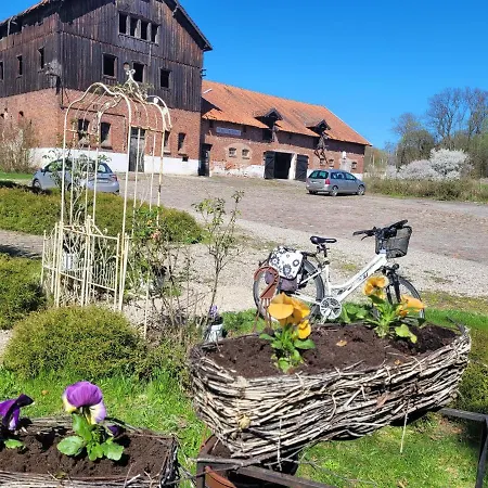 Agroturystyka Pałac w Janowie-3