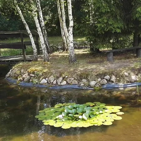 Siedlisko Gruszki Puszcza Bialowieska-3