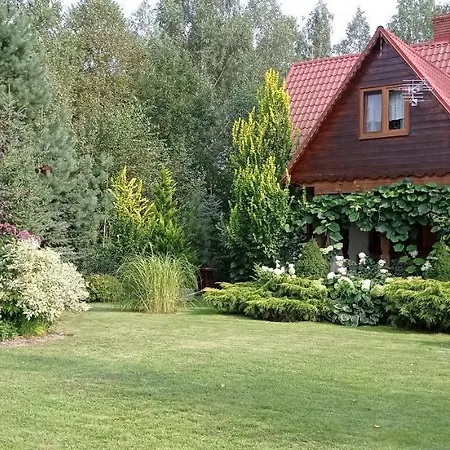 Siedlisko Gruszki Puszcza Bialowieska-2