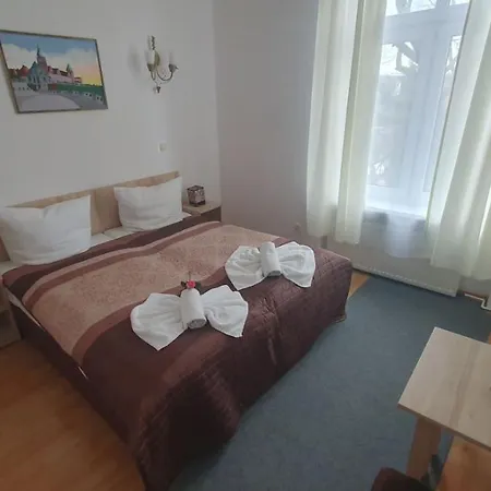 Ow Meduza I Biala Mewa-3