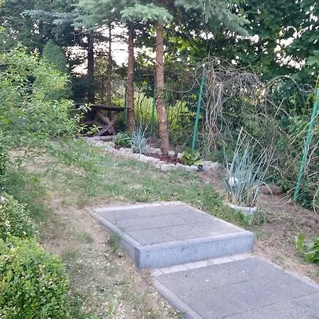SORKWITY- Pensjonat - STARY GIELĄD-2