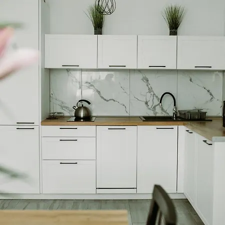 Apartament Magnolia -Centrum-3
