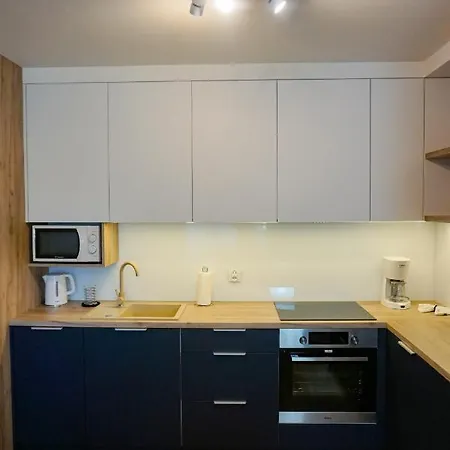 Pod Brzozami Apartamenty Villa Solny-2