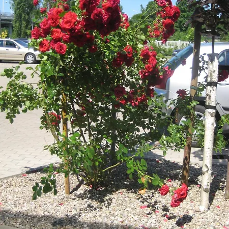 Baza noclegowa Mistral-3