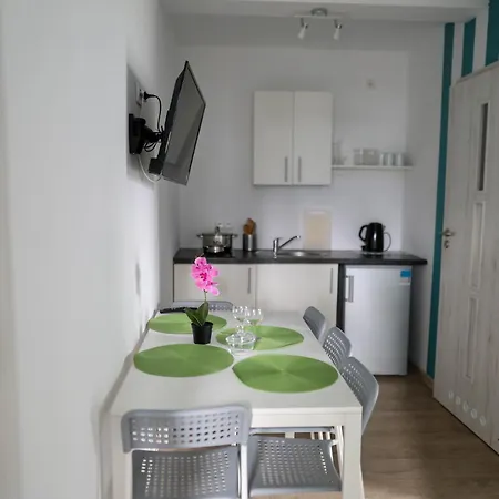 Apartamenty Poddąbek- basen kryty, sauna, animacje dla dzieci , małpi gaj, baseny na dachu-3