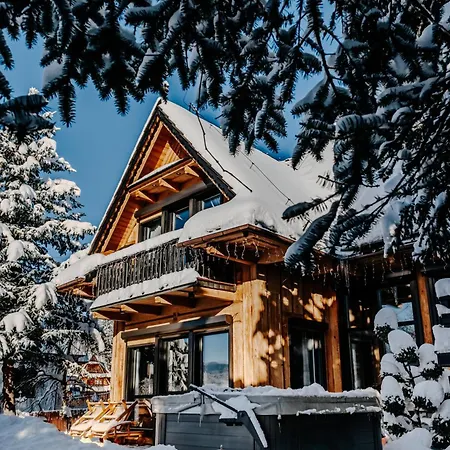 Villa Swiss na wyłączność - jacuzzi, sauna, bilard-3