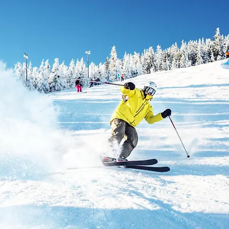 Panorama Ski, Bike, Spa & Restaurant - Czarna Gora Resort-2